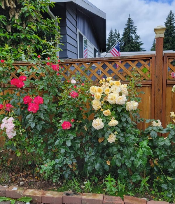 WhatsApp Image 2025-05-08 at 16.23.08_4bb406ee